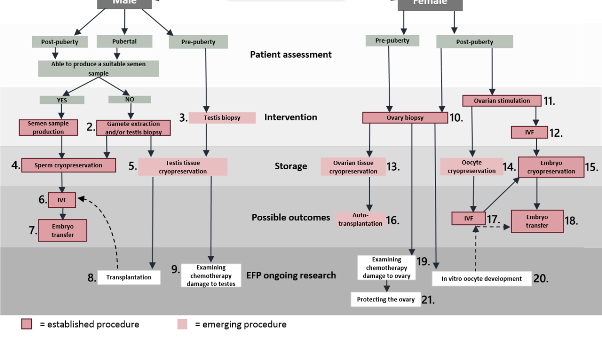 EFP Treatment Map